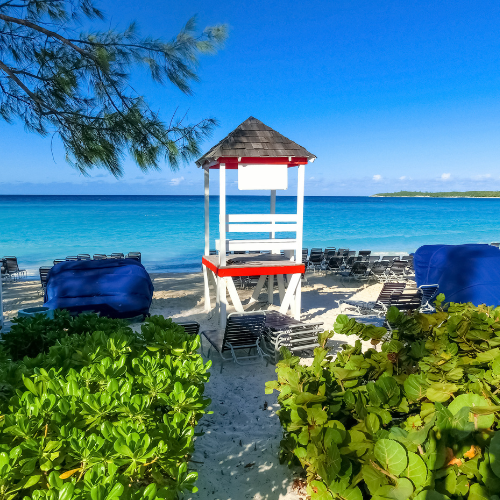 Life on Half Moon Cay: A Bahamian Paradise